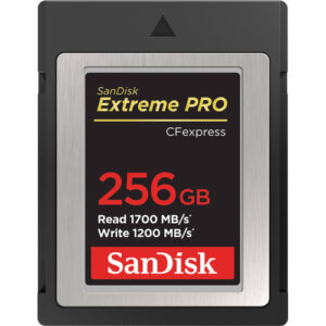 کارت حافظه SanDisk Extreme PRO CFexpress Type B ظرفیت ۲۵۶ گیگابایت