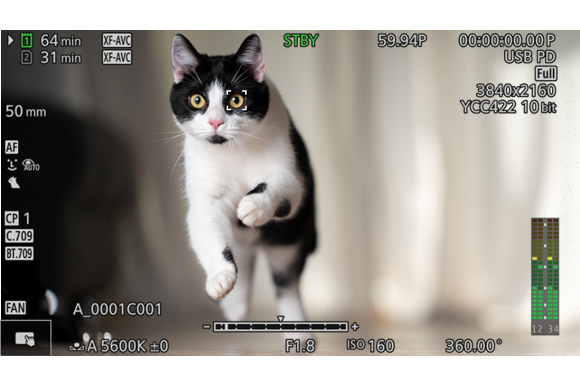 دوربین سینمایی فول فریم Canon EOS C50 با مانت RF